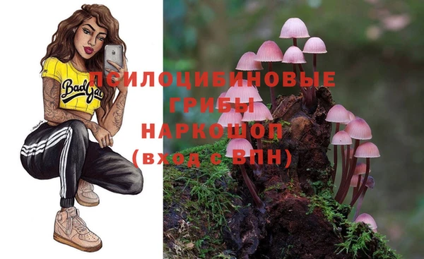 кокс Алексеевка