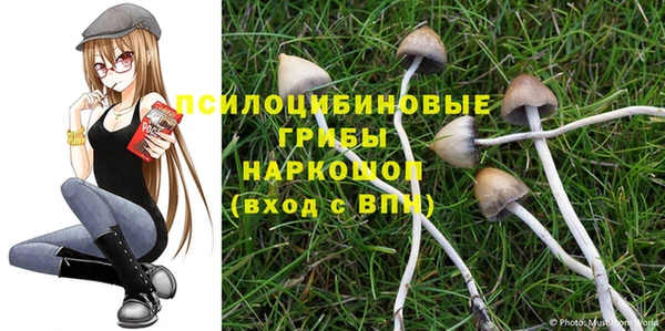 spice Алзамай