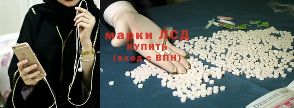 spice Алзамай