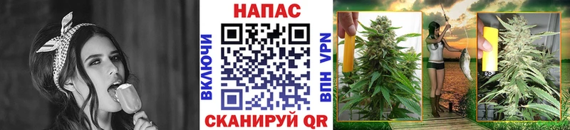 купить  сайты  Павловская  OMG ССЫЛКА  Бошки Шишки White Widow 